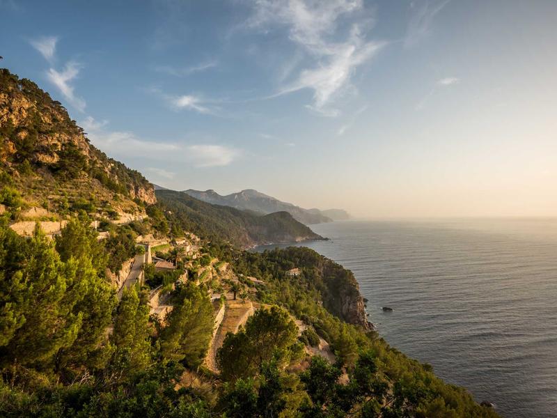 Qui neque et excepturi.