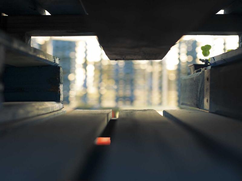 Bins, Kilback and Swift